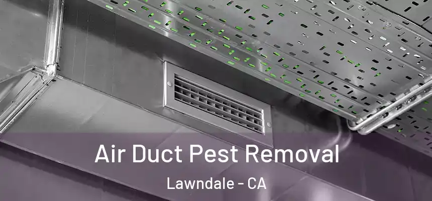  Air Duct Pest Removal Lawndale - CA