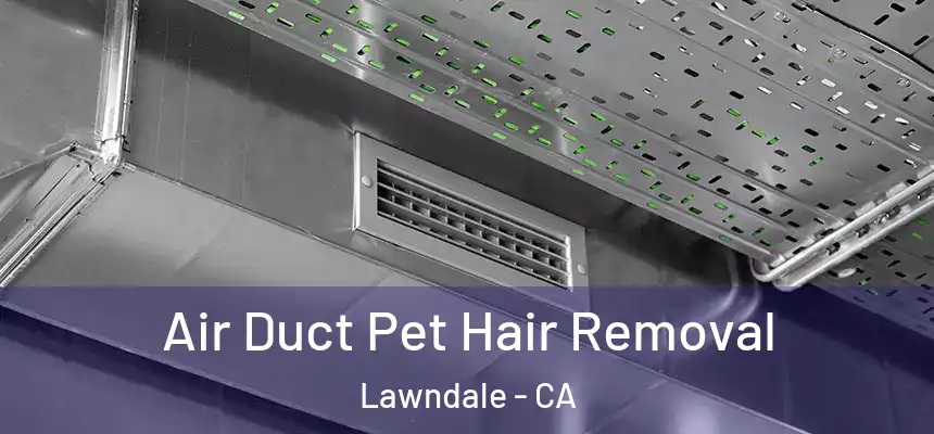  Air Duct Pet Hair Removal Lawndale - CA