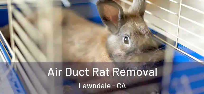  Air Duct Rat Removal Lawndale - CA