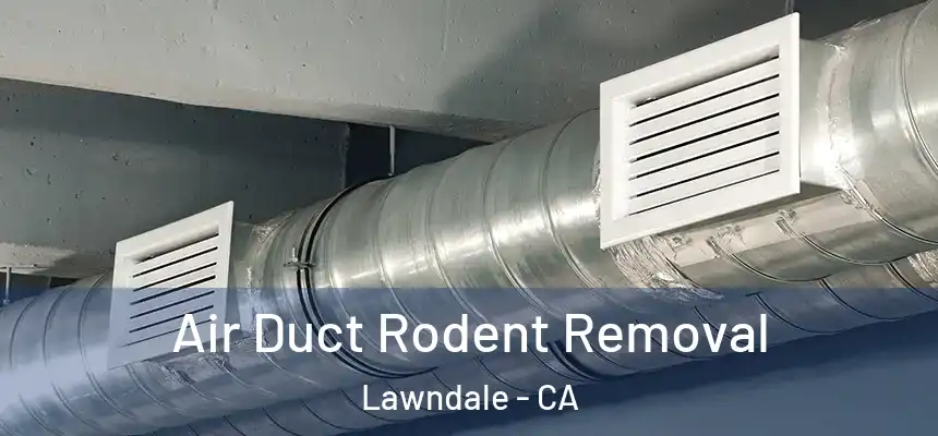  Air Duct Rodent Removal Lawndale - CA