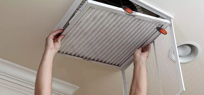 Preventive Cockroach-Proofing for Ducts in Lawndale