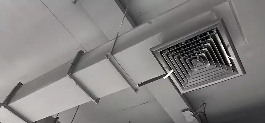 Our Rodent Droppings In Vents Services in Lawndale, CA