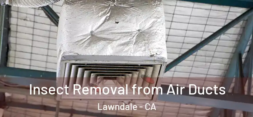  Insect Removal from Air Ducts Lawndale - CA