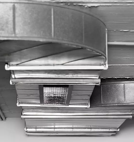 Professional Air Duct Pest Removal in Lawndale, CA