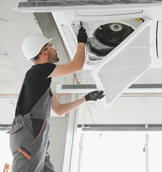 About Air Duct Rodent Removal in Lawndale, CA