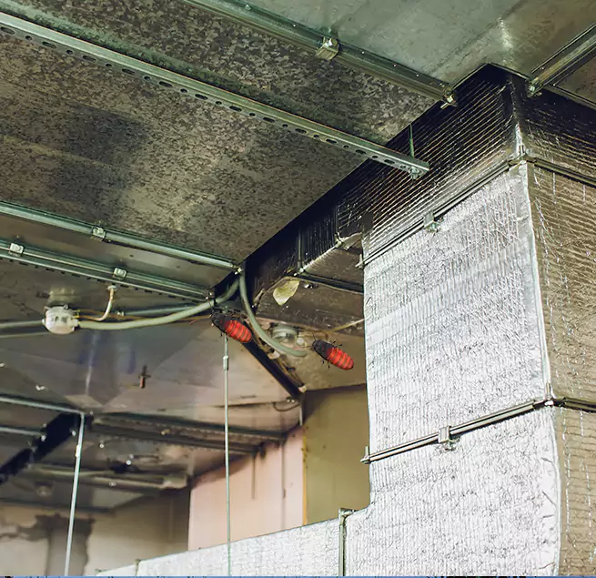 Why Homeowners & Businesses Trust Us in Lawndale, CA?