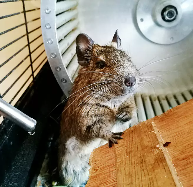 Why Homeowners & Businesses Trust Us Lawndale, CA?