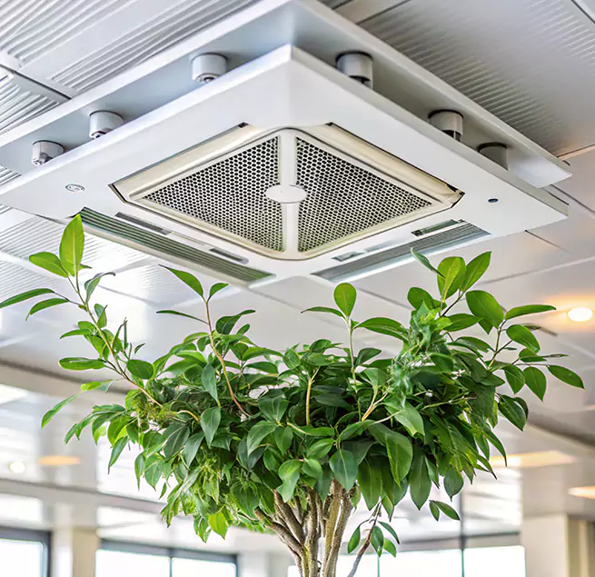 Why Homeowners & Businesses Trust Us in Lawndale, CA?